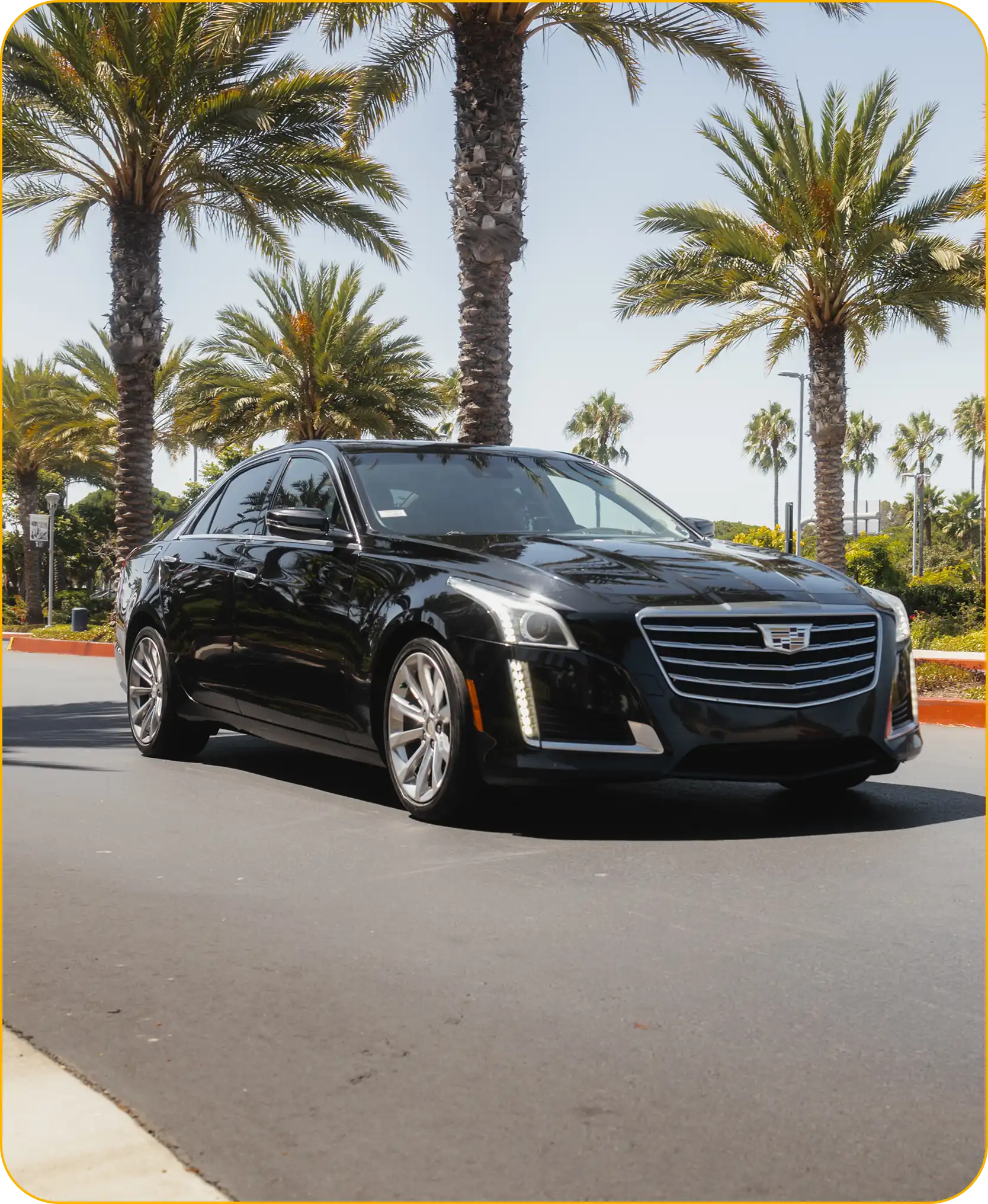 02 Cars in a lineChauffeur Service Available at Luxury Transportation